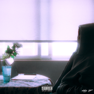 免费无遮挡🔞视频网站有声音
